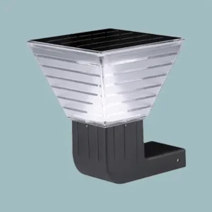 Serie W01 Chañar 01