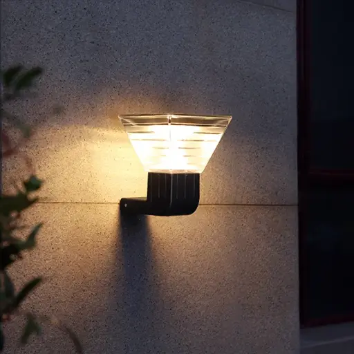 Serie W01 Chañar 02