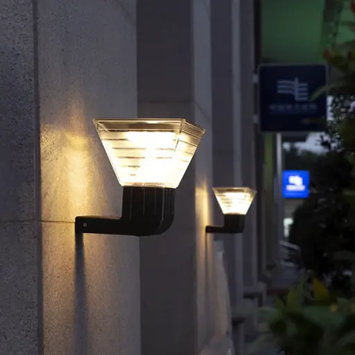 Serie W01 Chañar 03