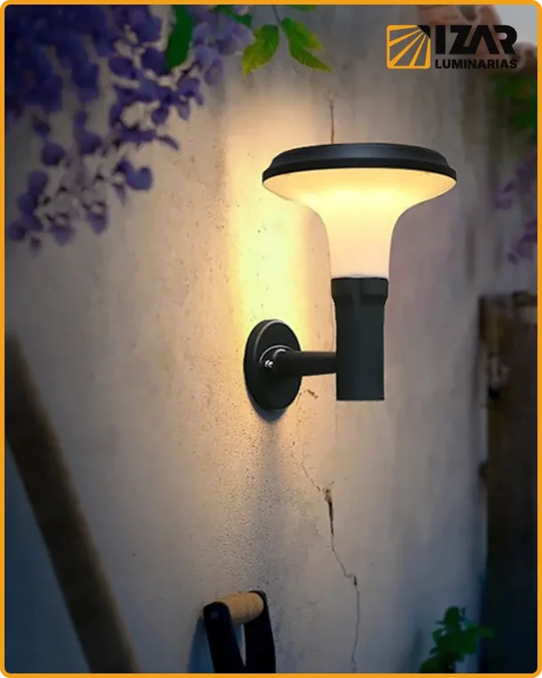 Serie W06 Quillay 03