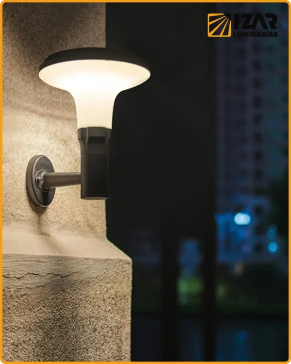 Serie W06 Quillay 04